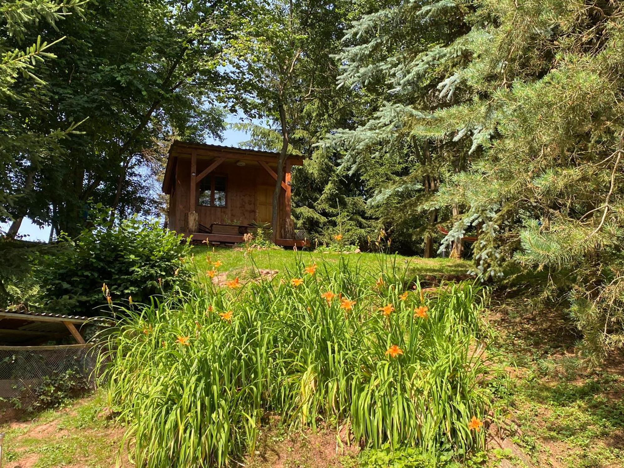 Tiny Resort Chotevice 1 Kottwitz Экстерьер фото